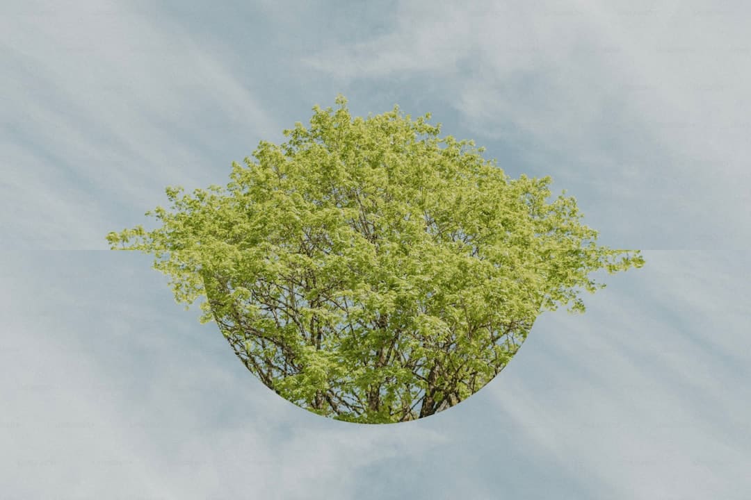从小众创作走向社会共鸣！三七互娱携特殊艺术家启动游戏二创